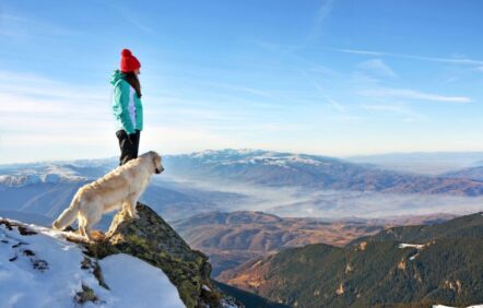 Avec mon chien… sinon rien!