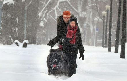 La tempête a fait cinq morts au Québec