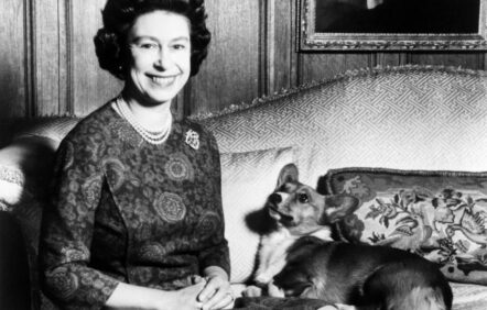 Les corgis de la reine Élisabeth resteront dans la famille royale