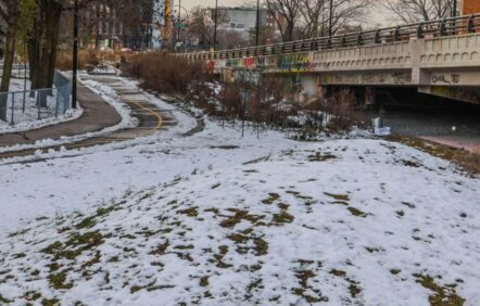 Des résidents du Mile End aux abois contre un projet de parc à chiens