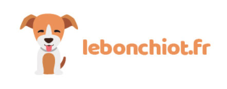 Adopter un chien : Trouvez votre compagnon idéal et offrez-lui une seconde chance ! Adopter un chien : Trouvez votre compagnon idéal et offrez-lui une seconde chance !