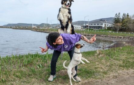 Des chiens qui ont du chien, au cirque comme en zoothérapie