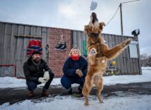 Des chansons qui ont du chien