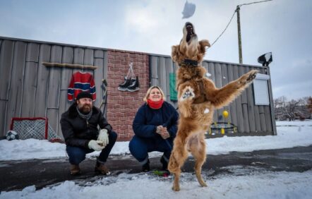 Des chansons qui ont du chien Des chansons qui ont du chien