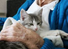 Vieillir en santé grâce aux animaux de compagnie