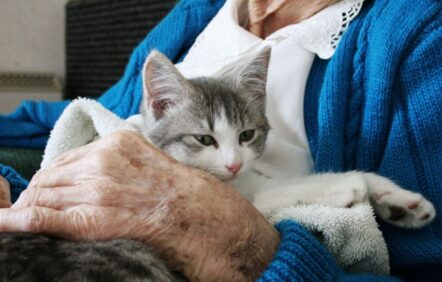Vieillir en santé grâce aux animaux de compagnie